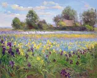 Boerderij en irisbloemveld, 1992